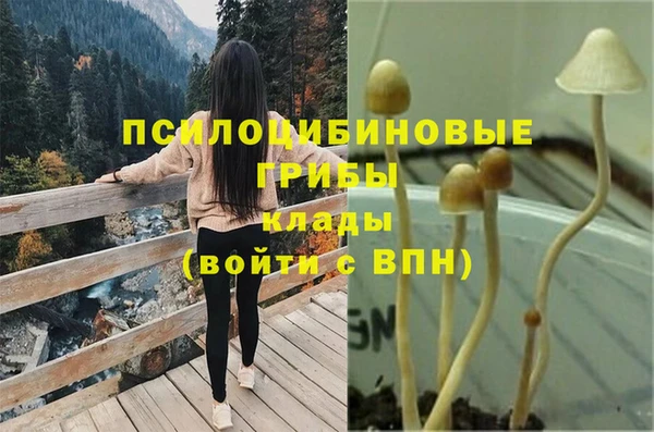 тгк Алзамай