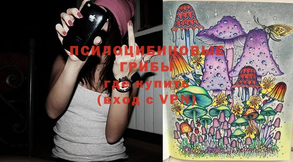 PSILOCYBIN Алексин